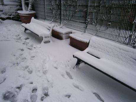 Roma si sveglia sotto la neve