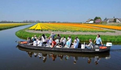 Keukenhof 2012