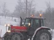 Finalmente neve...