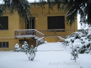 A spasso nella neve // Walking in the snow