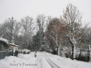 A spasso nella neve // Walking in the snow