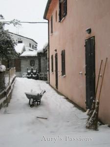 A spasso nella neve // Walking in the snow