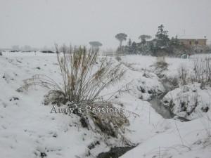 A spasso nella neve // Walking in the snow