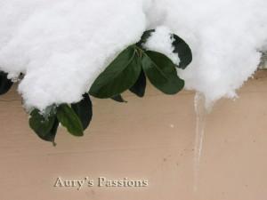 A spasso nella neve // Walking in the snow