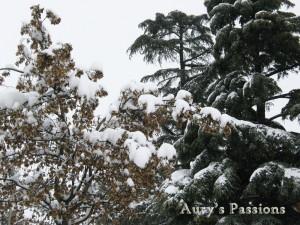 A spasso nella neve // Walking in the snow