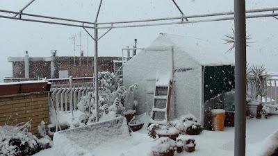 Neve a Roma 03 febbraio 2012