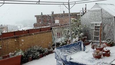 Neve a Roma 03 febbraio 2012