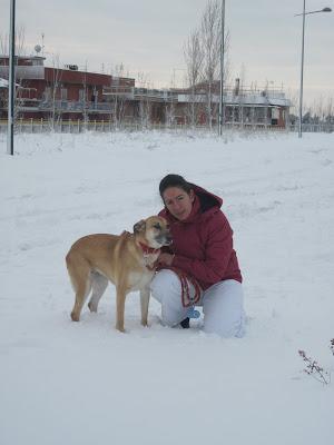 Neve a Roma 03 febbraio 2012