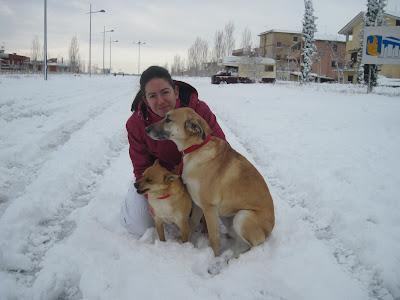 Neve a Roma 03 febbraio 2012