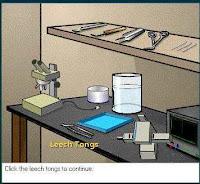 Laboratorio virtuale di neurofisiologia Laboratorio virtuale di neurofisiologia