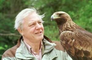 Il naturalista Attenborough: «fede in Dio compatibile con evoluzione biologica»
