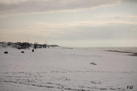 Fiocchi di neve sul cupolone