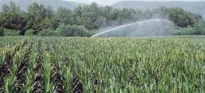 Confagricoltura Sardegna: gli agricoltori sardi penalizzati dal costo dell’acqua