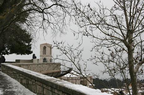 Una giornata particolare................