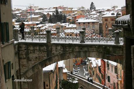 Una giornata particolare................