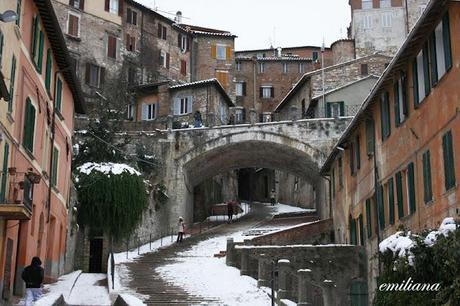 Una giornata particolare................