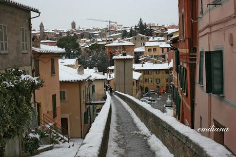 Una giornata particolare................