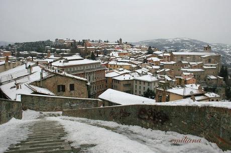 Una giornata particolare................