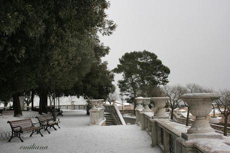 Una giornata particolare................