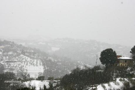 Una giornata particolare................