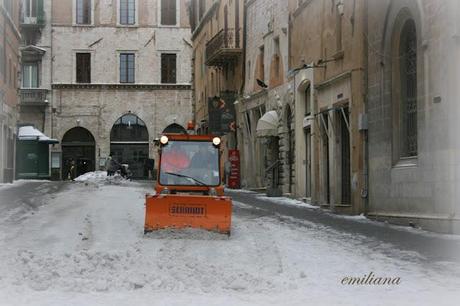 Una giornata particolare................