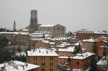 Una giornata particolare................