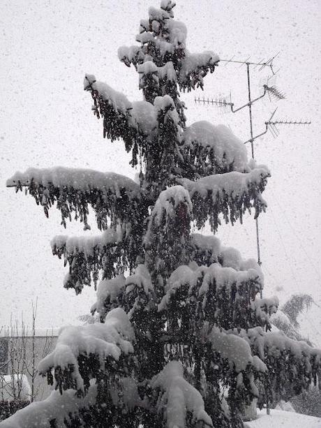 A proposito di neve