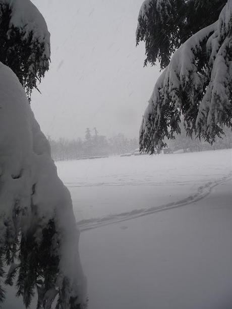 A proposito di neve