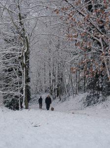 Non fate sciogliere la neve!