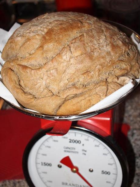 Pane alla Guinness