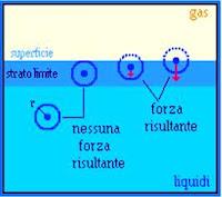 Forze Alla Superficie Dei Liquidi: La Tensione Superficiale