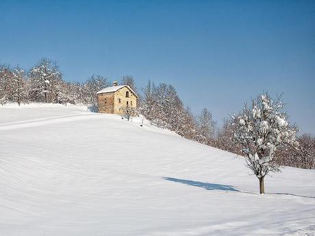 The house in the snow