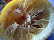 Grecia, sempre Grecia...