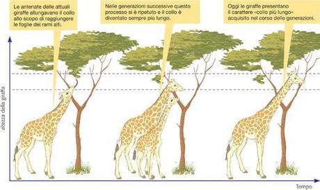 DEgenerazione Social Network