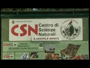 Prato: dirigenti accusati di intascare fondi Centro Scienze Naturali