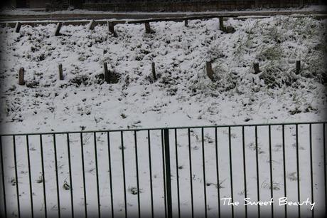 Let It Snow! 06/02/2012