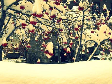 YOUR random snowy photographs from... everywhere !