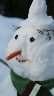 Un paio di scatti a: Quanta neve!!