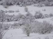 Neve ancora disagi. Difficoltà sulla