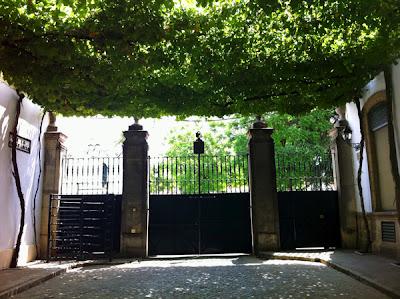 un vigneto strabiliante