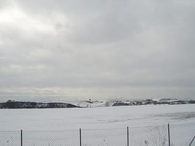 GRAFFITI E GRAFFIATI - Tanta neve, tante polemiche