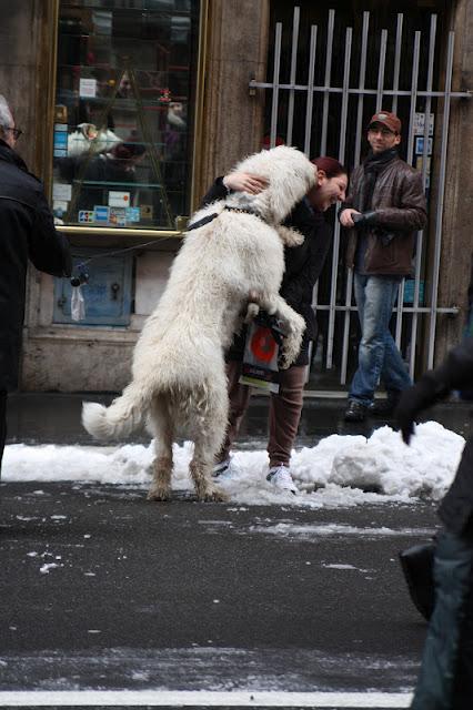 neve a Roma!