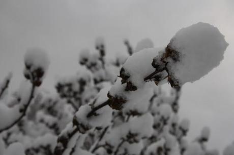 neve a Roma!