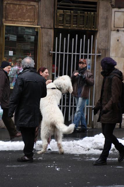 neve a Roma!