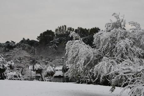 neve a Roma!