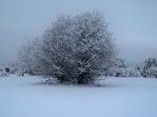 neve Benevento