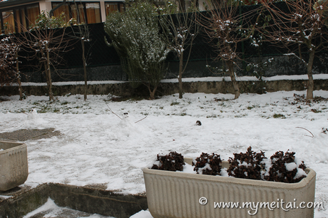 La neve anche qui… finalmente!