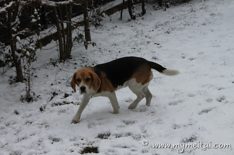 La neve anche qui… finalmente!