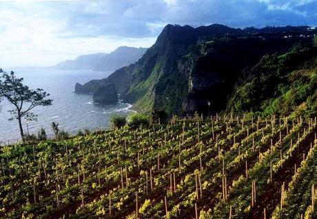 Giardini di Madeira