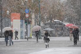 Distratti, giustamente, dalla neve e dalle sue conseguenze per una settimana ci siamo dimenticati che stiamo, ancora, mantenendo i parassiti.